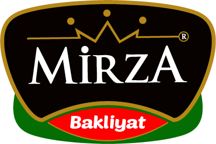 logo-1